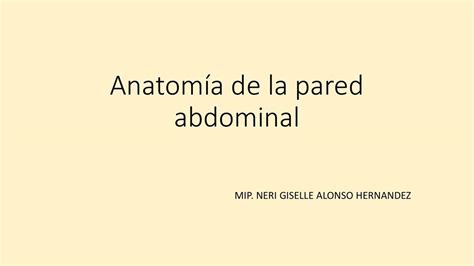 Anatomía de la Pared Abdominal Neri Alonso uDocz