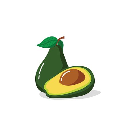 Avocado Vector Illustration Vector Art At Vecteezy