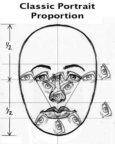 How To Draw Caricatures Relationship Of Features Portrait Drawing