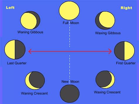 Moon Cycle | PPT