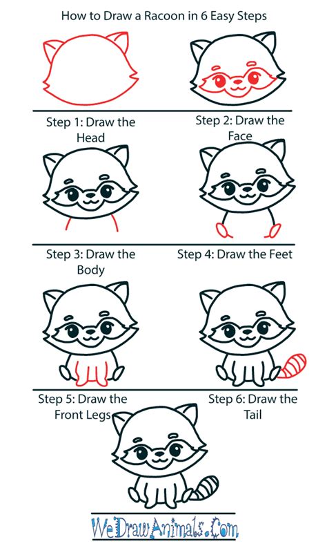 How To Draw A Cute Raccoon