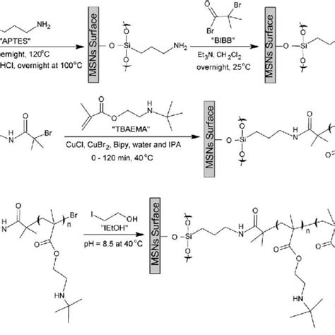 Scheme A Schematic Representation Of The Formation Of An