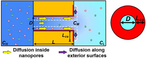 Illustration Of Ionic Diffusion Through Nanopores The Diffusion