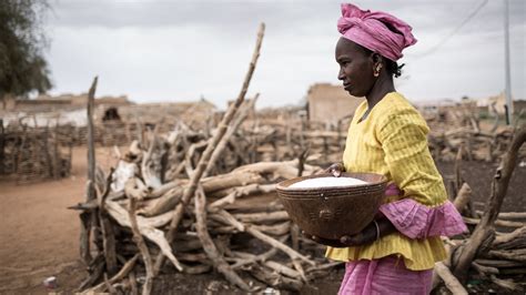 Senegal Hunger Relief In Africa Action Against Hunger