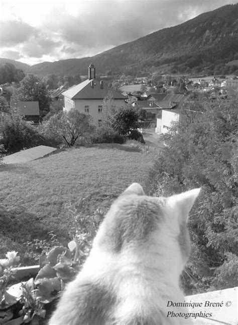 Vu Sur La Vall E Orn E De Cent Mille Coteaux En Perles De Verre