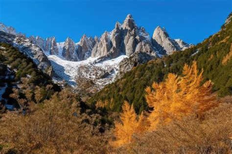 Premium Photo | Forest and mountains with snowy peaks