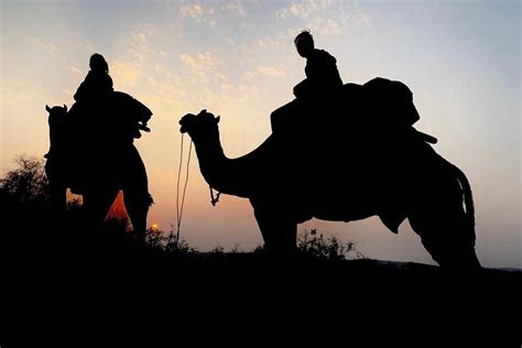 Night in the Thar Desert from Jodhpur - Book at Civitatis.com