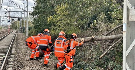 2000 arbres tombés sur le réseau ferré avec les tempêtes des dégâts d