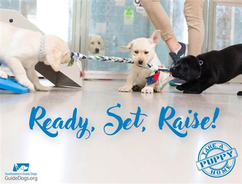 Southeastern Guide Dogs Home Facebook