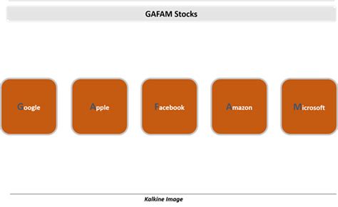 GAFAM Stocks Definition & Meaning in Stock Market with Example