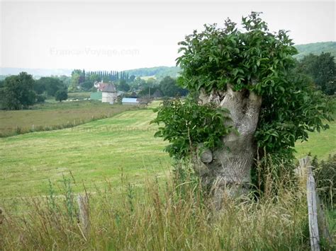 Photos The Norman Seine River Meanders Regional Nature Park Tourism