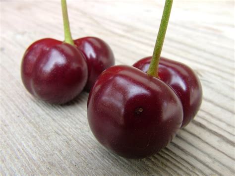 2 X Double Sour Cherry Free Photo Download Freeimages