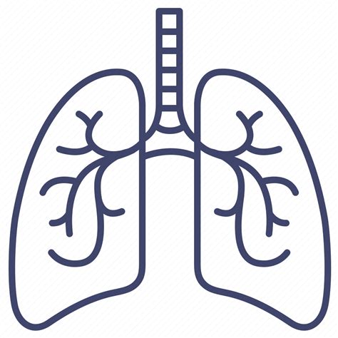 Anatomy Lung Lungs Organ Icon Download On Iconfinder