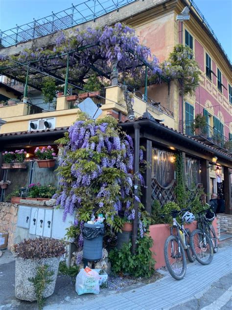 Several Bicycles Are Parked In Front Of A Building With Purple Flowers