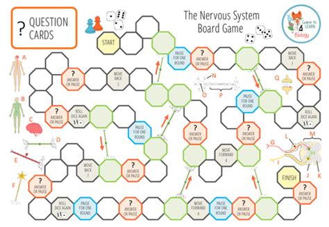 Nervous System - Board Game (KS3/4) | Teaching Resources