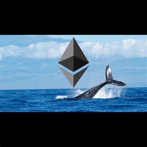 Ethereum Whales Acquire Over 410 000 ETH Valued At Nearly 1 Billion