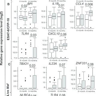 Gene Expression Profiles Differ Between Maf And Mtb Infected Patients