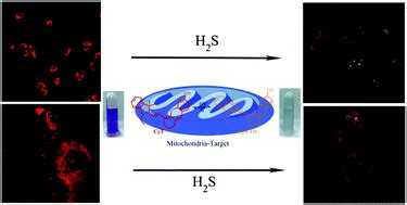 Naked Eye And Ratiometric Fluorescence Probe For Fast And Sensitive