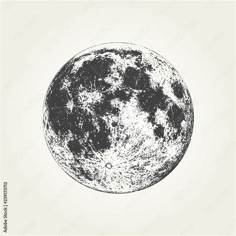 Realistic full Moon. Detailed monochrome vector illustration Stock Vector | Adobe Stock