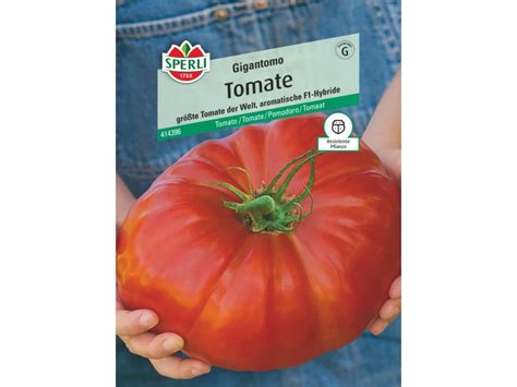 Sperli Tomate Gigantomo F Hybride Kaufen Bei Obi