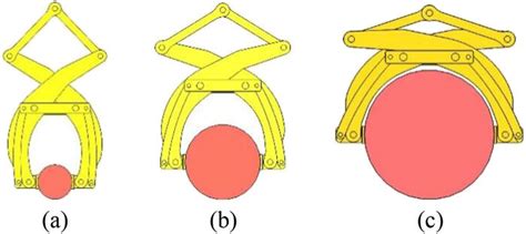 New structure of the nail plate. | Download Scientific Diagram