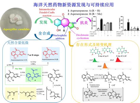 【邵长伦课题组】在海洋天然药物新资源发现研究领域取得新进展