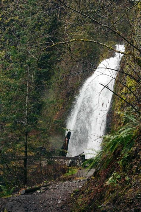 The 10 Best Waterfalls In Columbia River Gorge Waterfalls Near