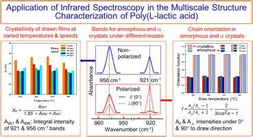 红外光谱在聚左旋乳酸多尺度结构表征中的应用 Polymer X MOL