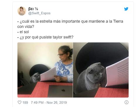 Los Memes Más Divertidos Del Gato Leyendo Que Es Regañado Por La