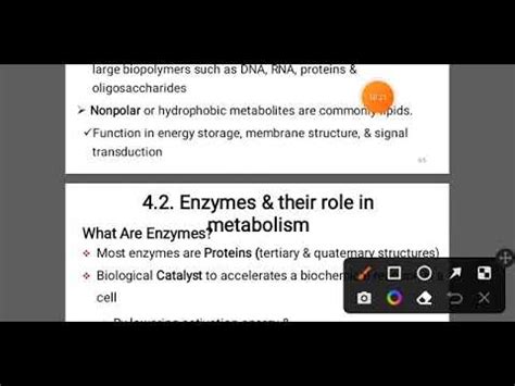 General Biology Freshman Course Unit 4 YouTube