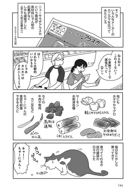 ＜画像80 106＞愛猫の闘病と別れ、その後を描いた漫画「世界一幸せな飼い主にしてくれた猫」。飼い主の覚悟と思いとは？【作者に聞いた