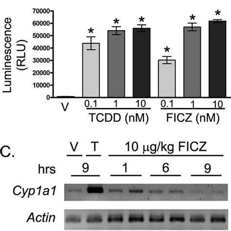 Ahr Activation By Tcdd And Ficz Differentially Affects Immune Responses