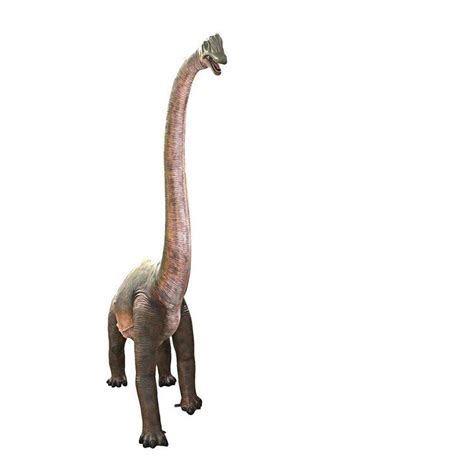 Design Toscano Jurassic Sized Brachiosaurus Dinosaur StatueDefault