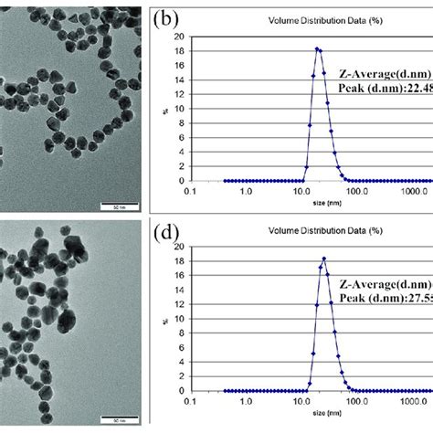 A Tem Image Of Aunps B Dls Analysis Of Aunps C Tem Image Of