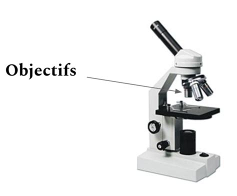 Biologie Test Microscope Flashcards Quizlet