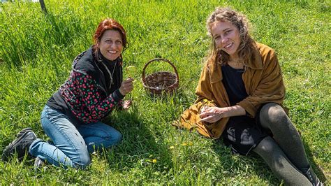 Riconoscere E Mangiare Erbe Spontanee Al Bosco Di Ogigia Youtube