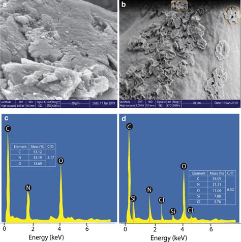 A B Sem Images And C D Edx Spectra Of Chitosan And Tvs M Cs Respectively Download