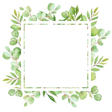 Cadre D Illustration Aquarelle Avec Feuilles Et Verdure D Eucalyptus