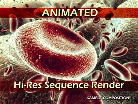 Red Blood Cells Animation 3d Model