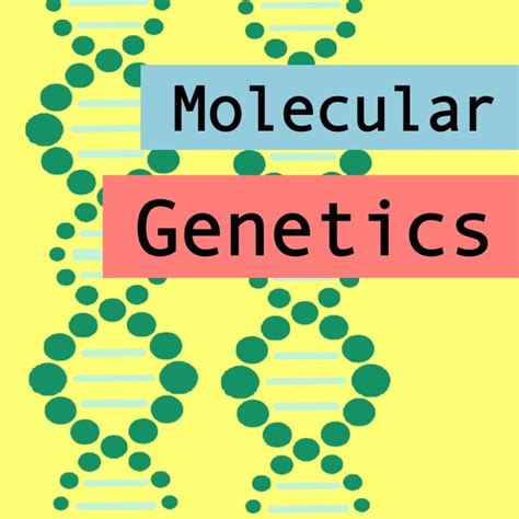 Molecular Genetics | Molecular genetics, Molecular, Fun science