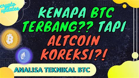 Kenapa Bitcoin Terbang Tapi Altcoin Malah Koreksi Market Crypto