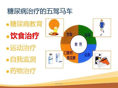 糖尿病饮食指导 Ppt课件word文档在线阅读与下载无忧文档