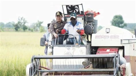 Kontroversi Pemerintah Gandeng China Kembangkan Sawah Padi Di Kalteng