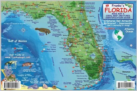 Florida State Dive Map Reef Creatures Guide Laminated Fish Card By