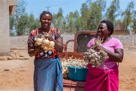 International Day Of Rural Women 2022 Mobility For Africa