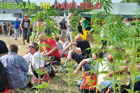 Reggae Im Hanffeld Infos Und Reggaefestival Im Hanffeld