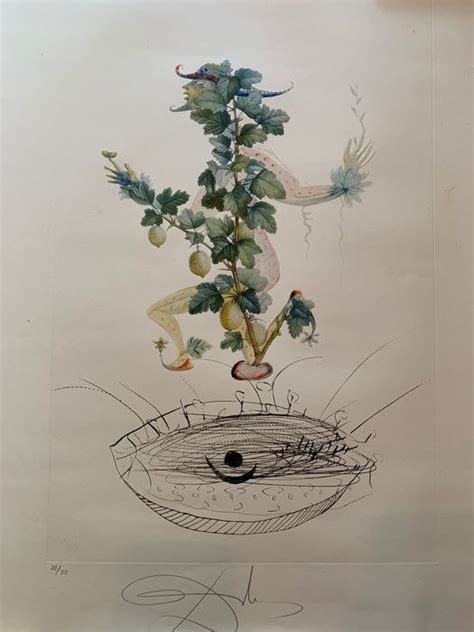 Salvador Dali 1904 1989 Flordali Les Fruits Gooseberry Catawiki