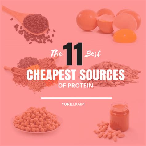 The Best And Cheapest Sources Of Protein All Dairy Free Yuri Elkaim