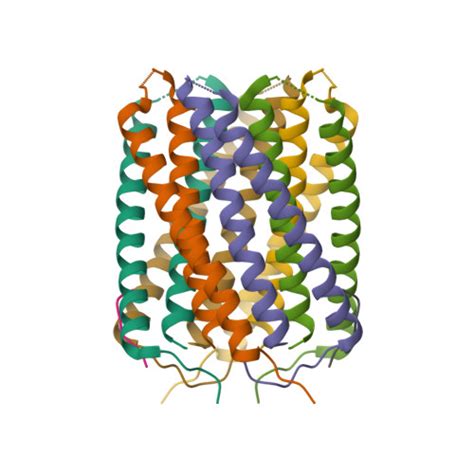 RCSB PDB 6TJ1 Crystal Structure Of A De Novo Designed Hexameric