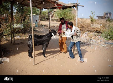 Indian Gypsies In Rajasthan Stock Photo Alamy